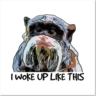 Funny Emperor Tamarin Posters and Art